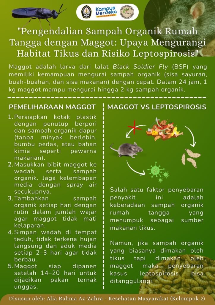 Poster berjudul 'Pengendalian Sampah Organik Rumah Tangga dengan Maggot: Upaya Mengurangi Habitat Tikus dan Risiko Leptospirosis' disusun oleh Alia Rahma Az-Zahra, mahasiswa KKN-T Undip TIM-133, Prodi Kesehatan Masyarakat (Epidemiologi dan Penyakit Tropik), Universitas Diponegoro. (sumber: Dokumentasi Pribadi)